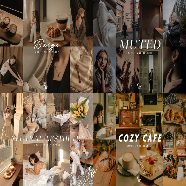 480+ NEUTRAL Bundle Presets